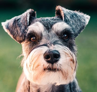 pexels-sebastian-coman-travel-3610168